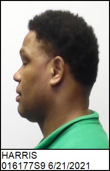 Left Profile