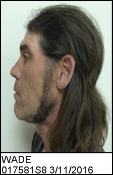 Left Profile