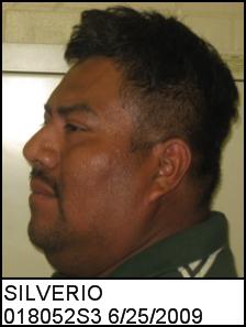 Left Profile