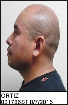 Left Profile
