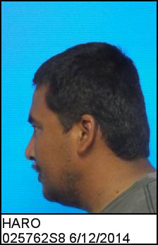 Left Profile