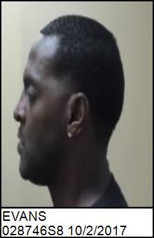 Left Profile