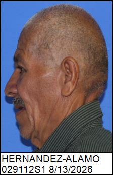 Left Profile