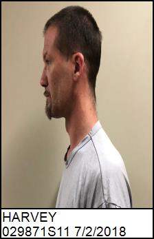 Left Profile
