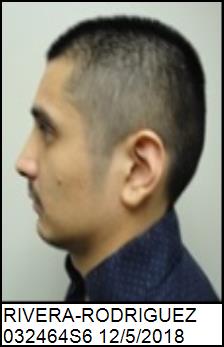 Left Profile