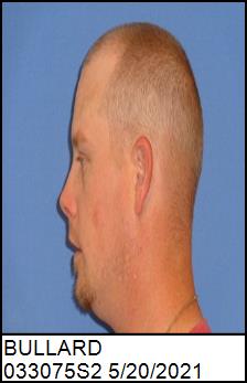 Left Profile