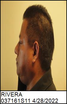 Left Profile