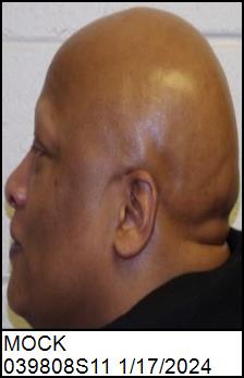 Left Profile
