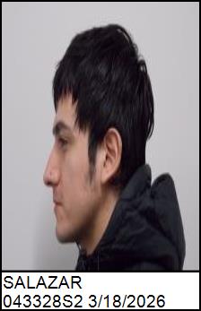 Left Profile