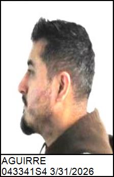 Left Profile