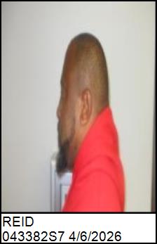 Left Profile