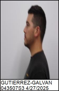 Left Profile