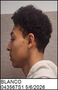 Left Profile