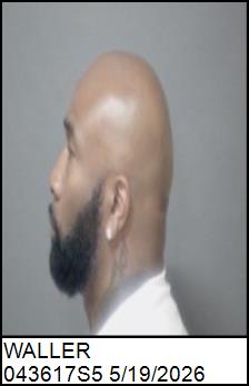 Left Profile