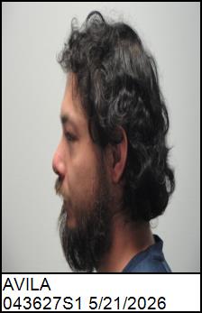 Left Profile