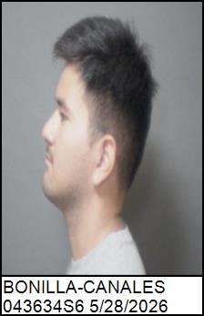 Left Profile