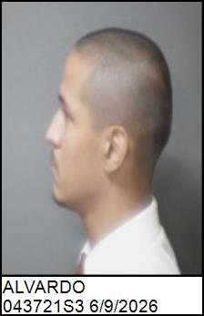 Left Profile