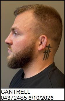 Left Profile