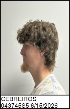 Left Profile