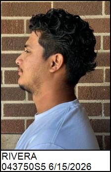 Left Profile