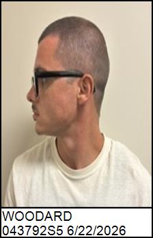 Left Profile