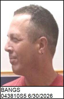 Left Profile
