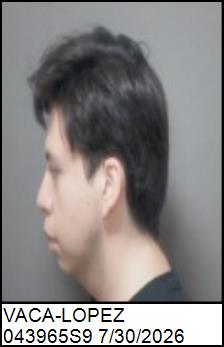 Left Profile