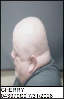 Left Profile