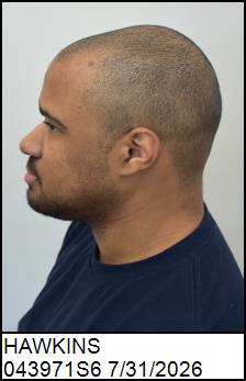 Left Profile