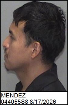Left Profile