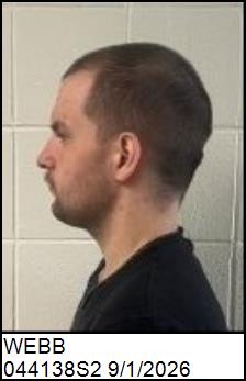 Left Profile