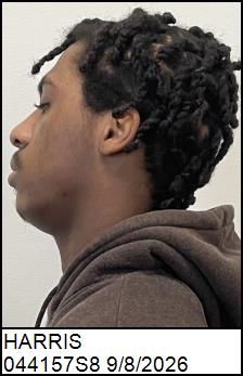Left Profile