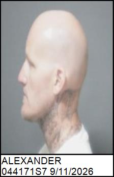 Left Profile