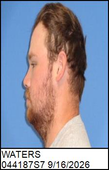 Left Profile