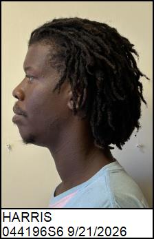 Left Profile