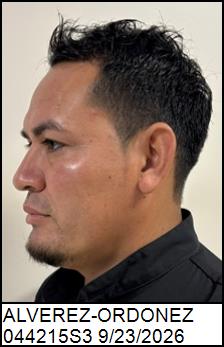 Left Profile