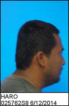 Right Profile