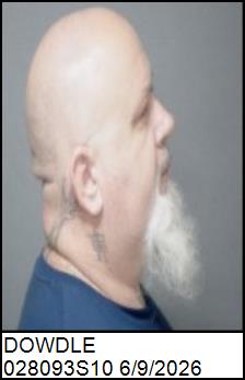 Right Profile