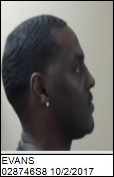 Right Profile