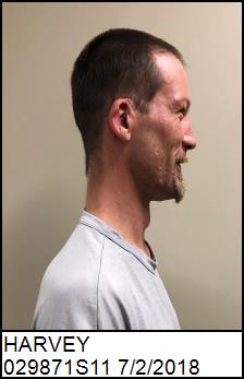 Right Profile