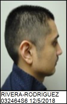 Right Profile
