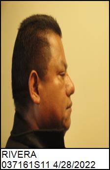 Right Profile