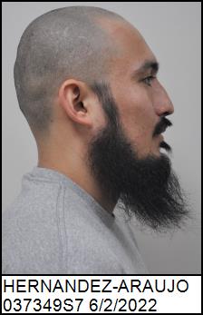 Right Profile