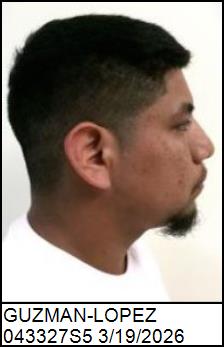Right Profile