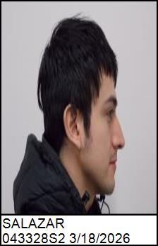 Right Profile