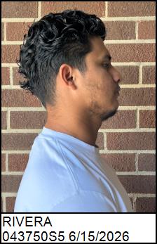 Right Profile