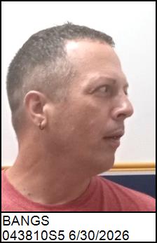 Right Profile
