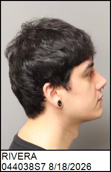 Right Profile