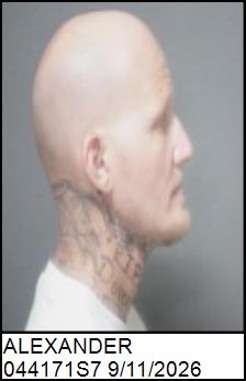 Right Profile