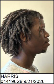 Right Profile